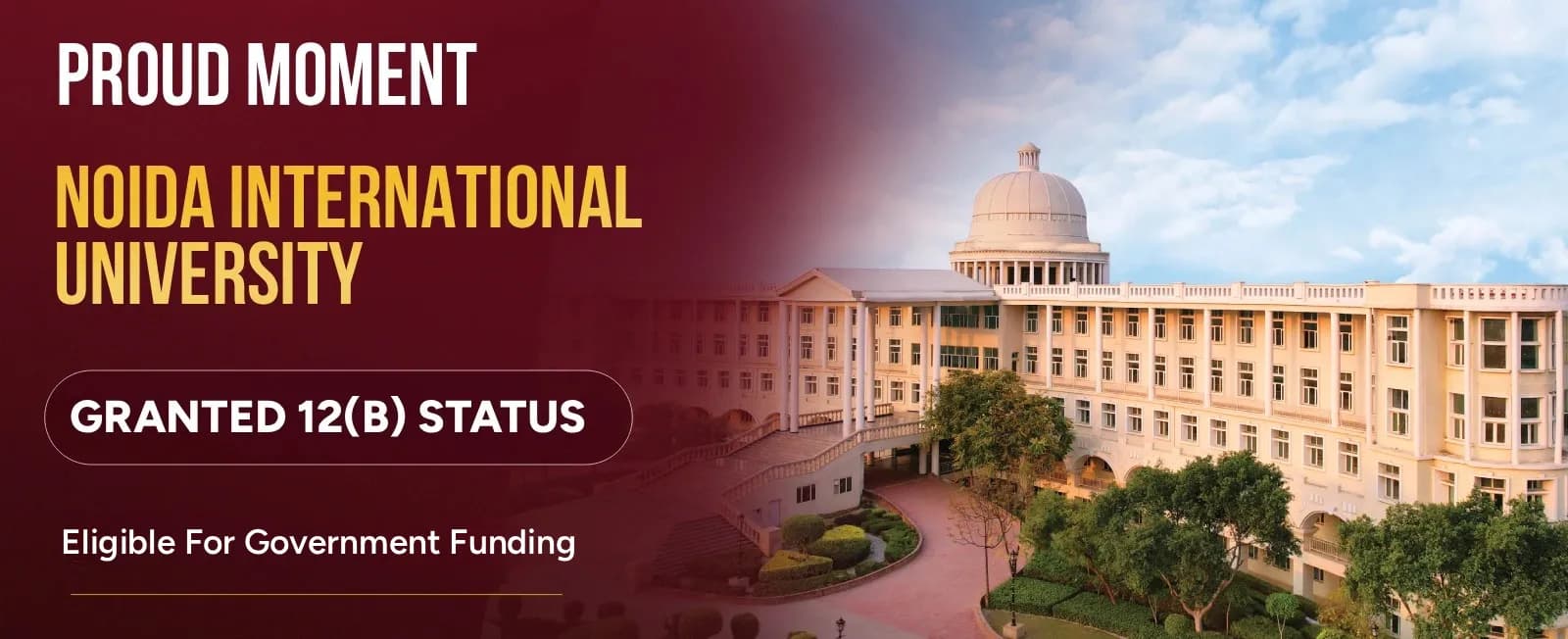 Noida International University